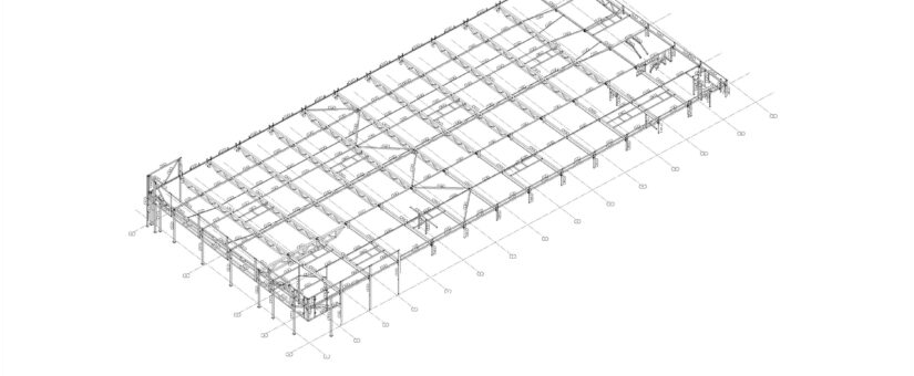 Lidl kauplus Pärnu — teraskarkass 3D vaade