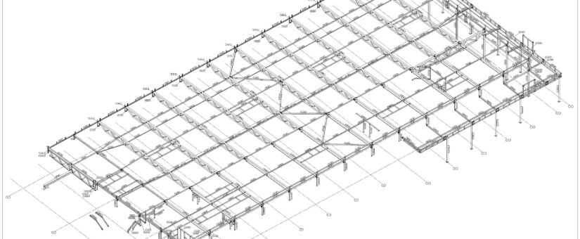 Lidl kauplus Raadiku 11 Tallinn — teraskarkass 3D vaade